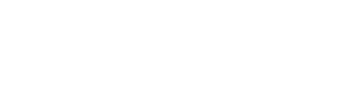 Global Licensing Systems
